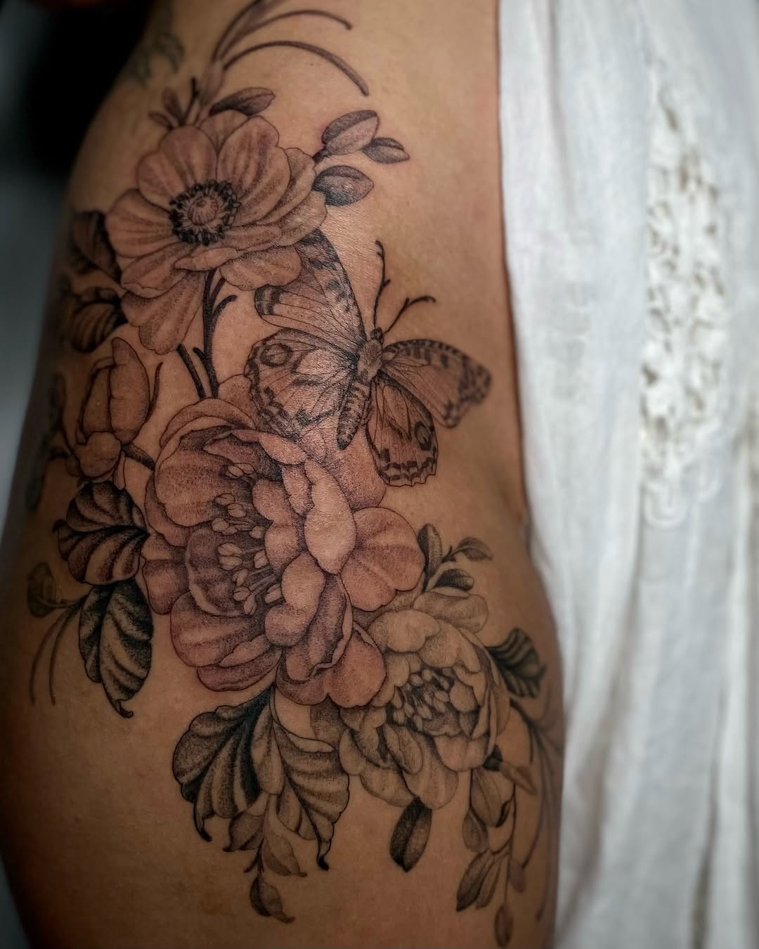 Flower, Nature, Rose, Animal