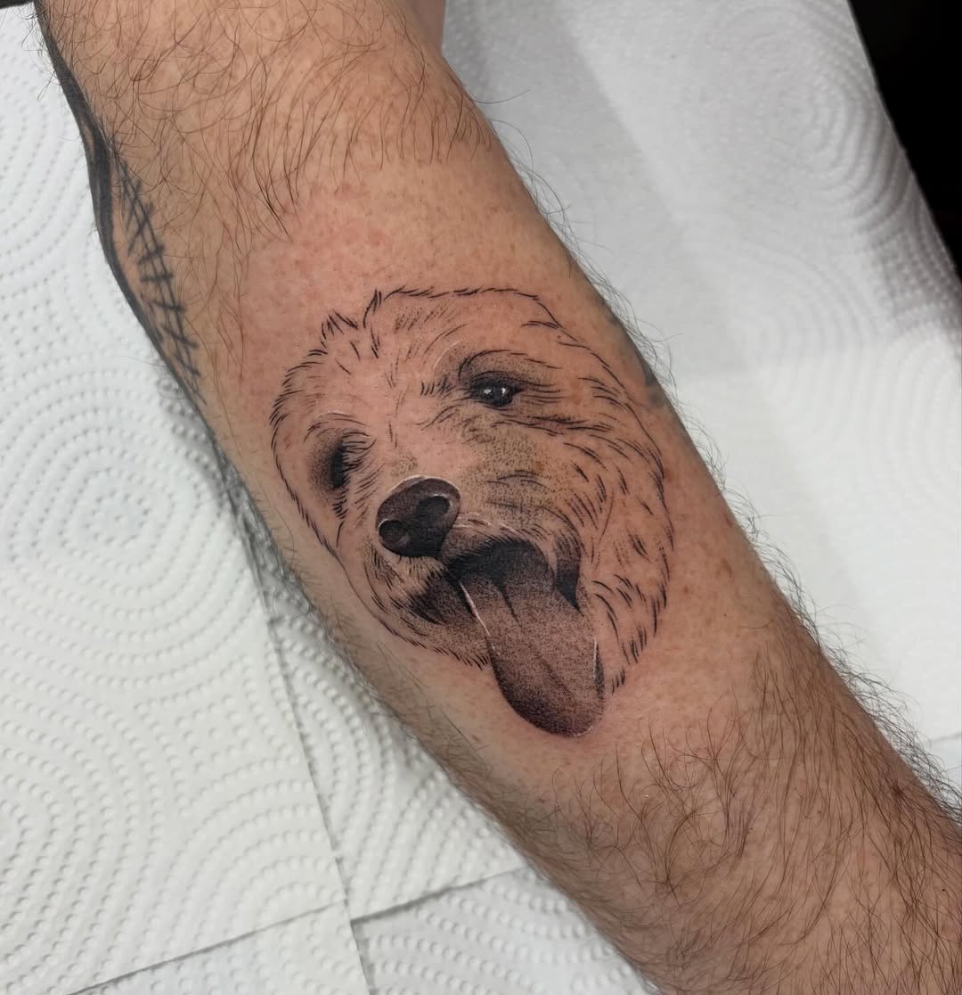 Animal