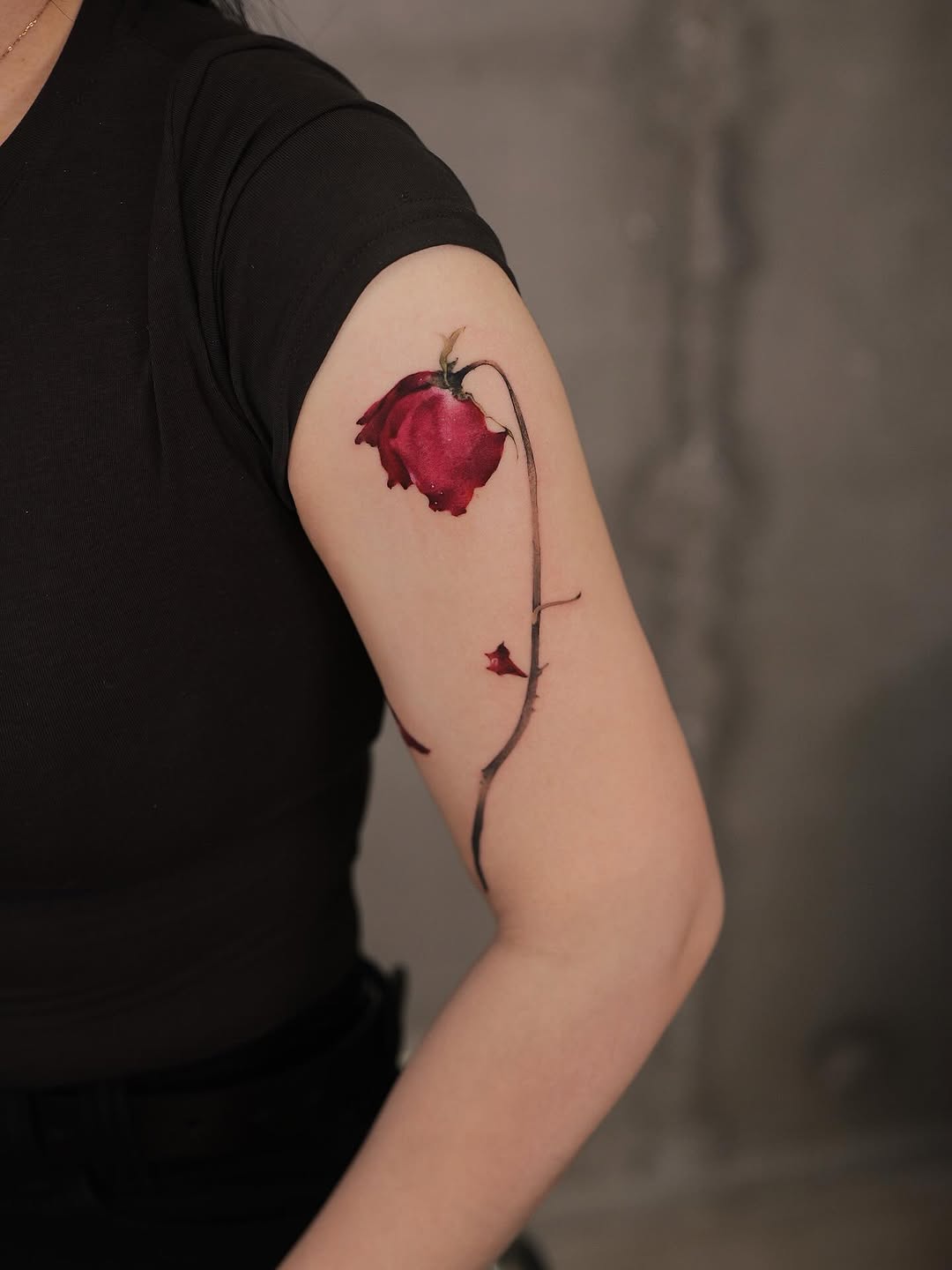 Flower, Rose, Nature