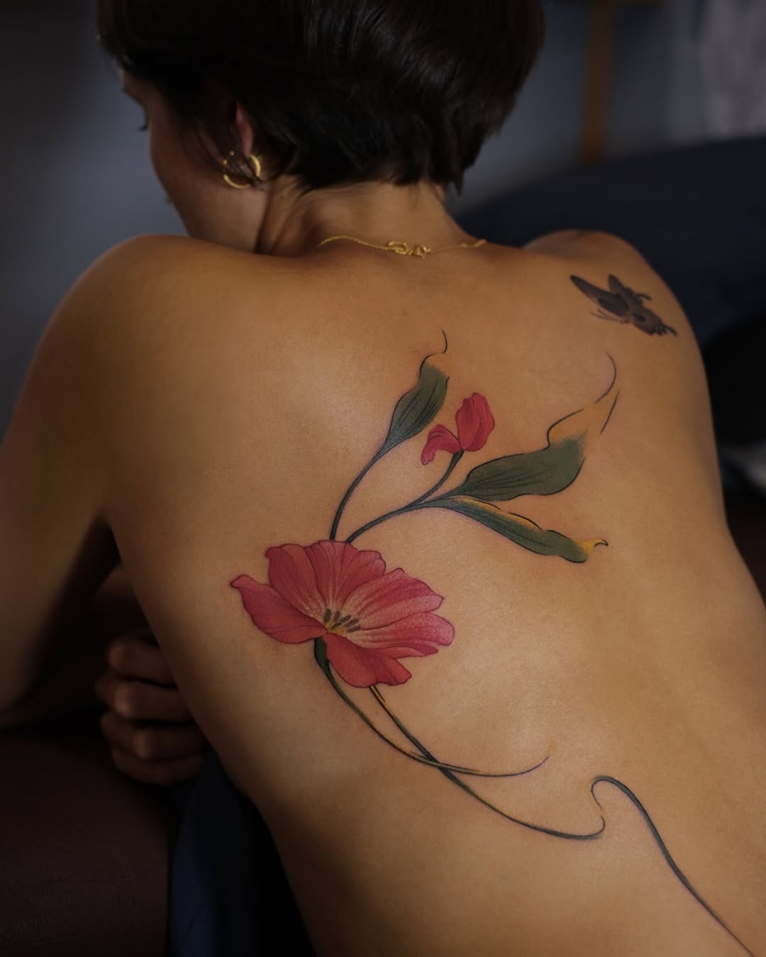 Flower, Rose, Nature