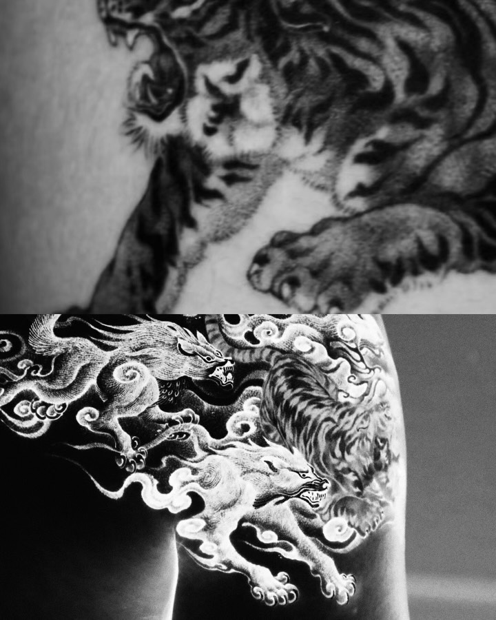 Dragon