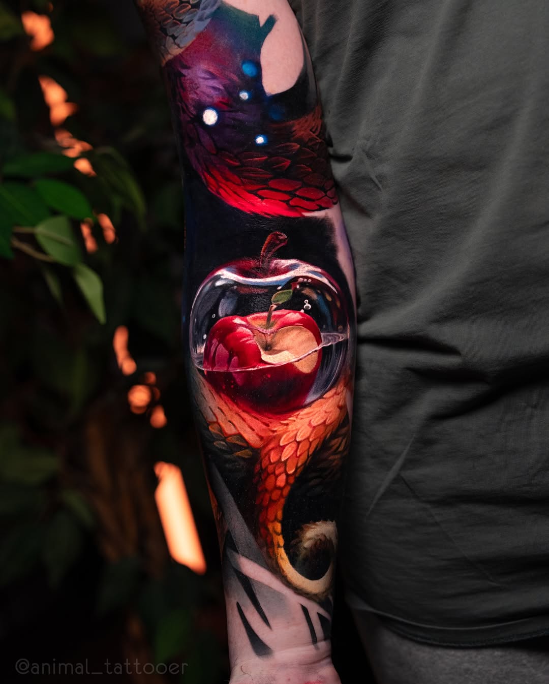 Dragon