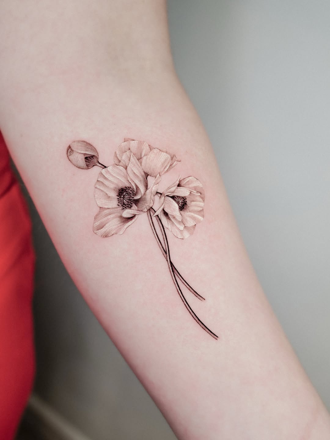 Rose, 양귀비, Flower