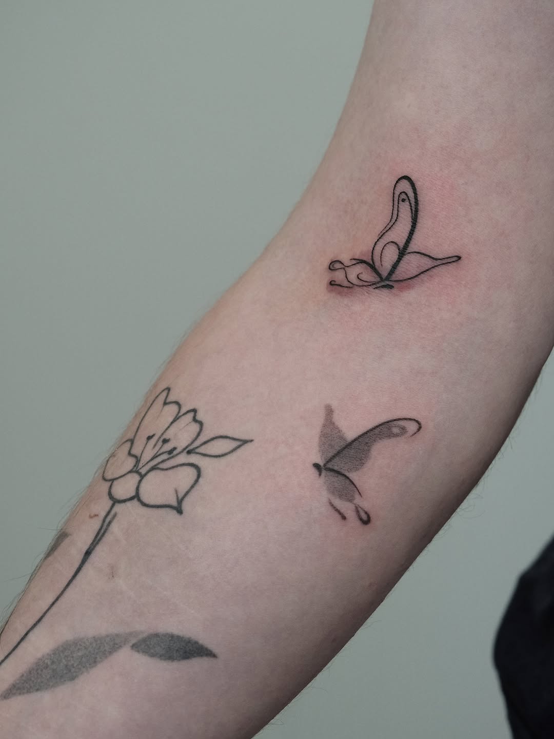 teddyxtattoo