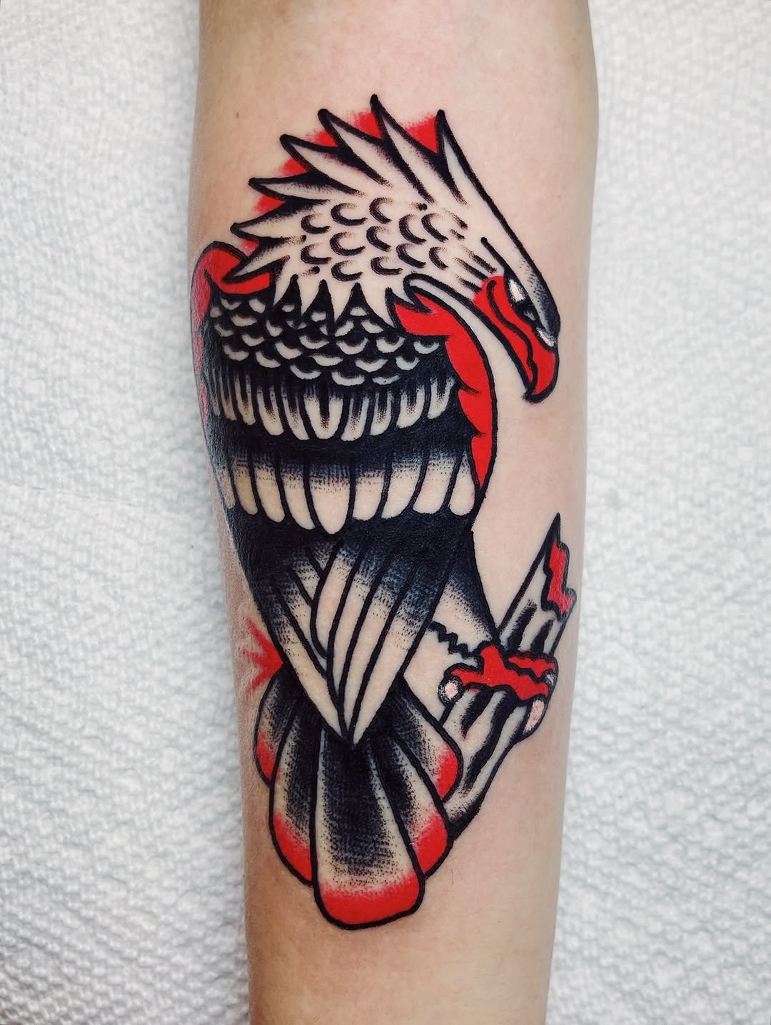 darius_cappelli
