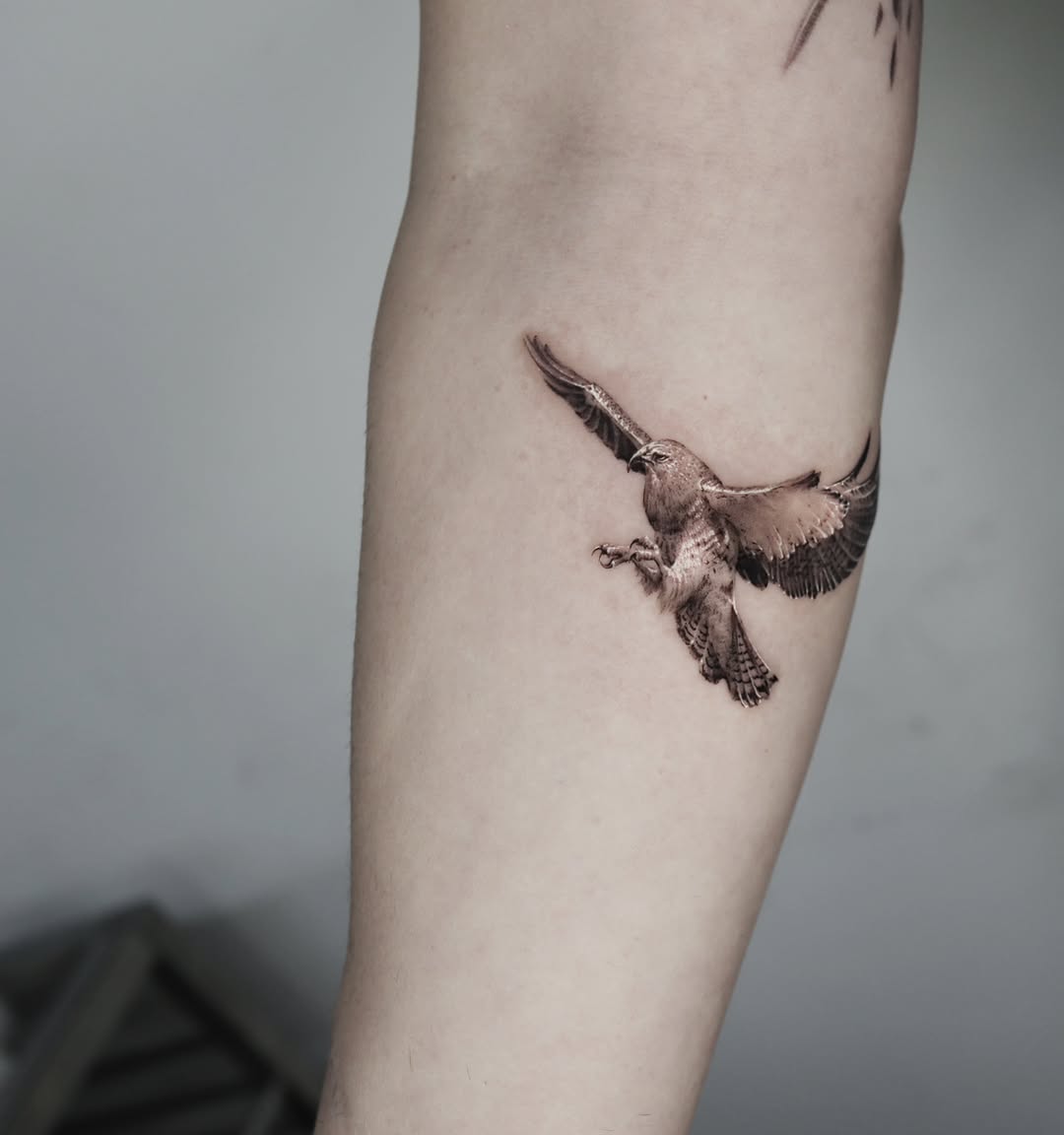 Animal, 매