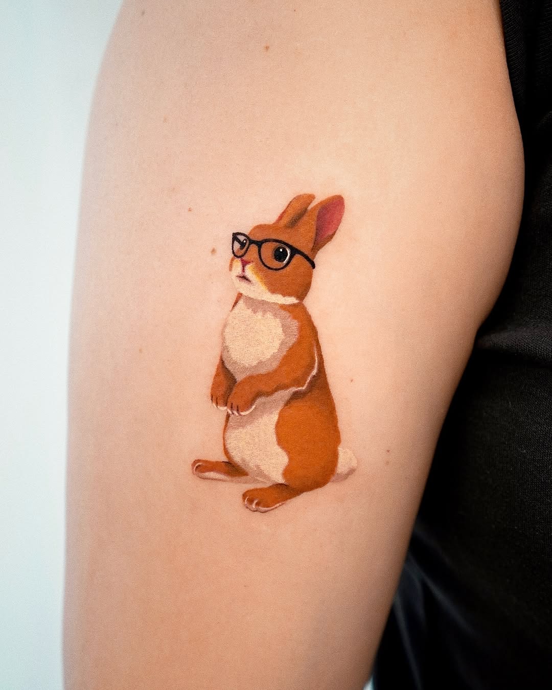토끼, Animal