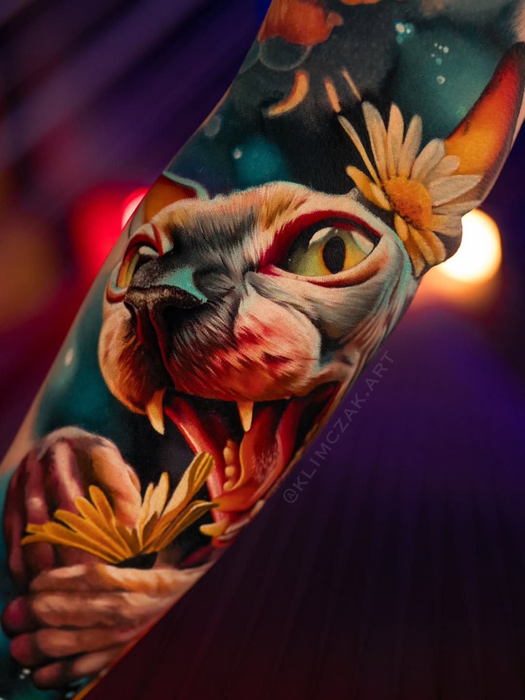 Animal