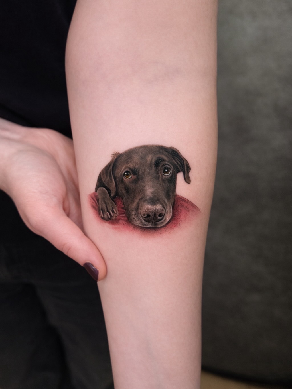 hnnhtattoo