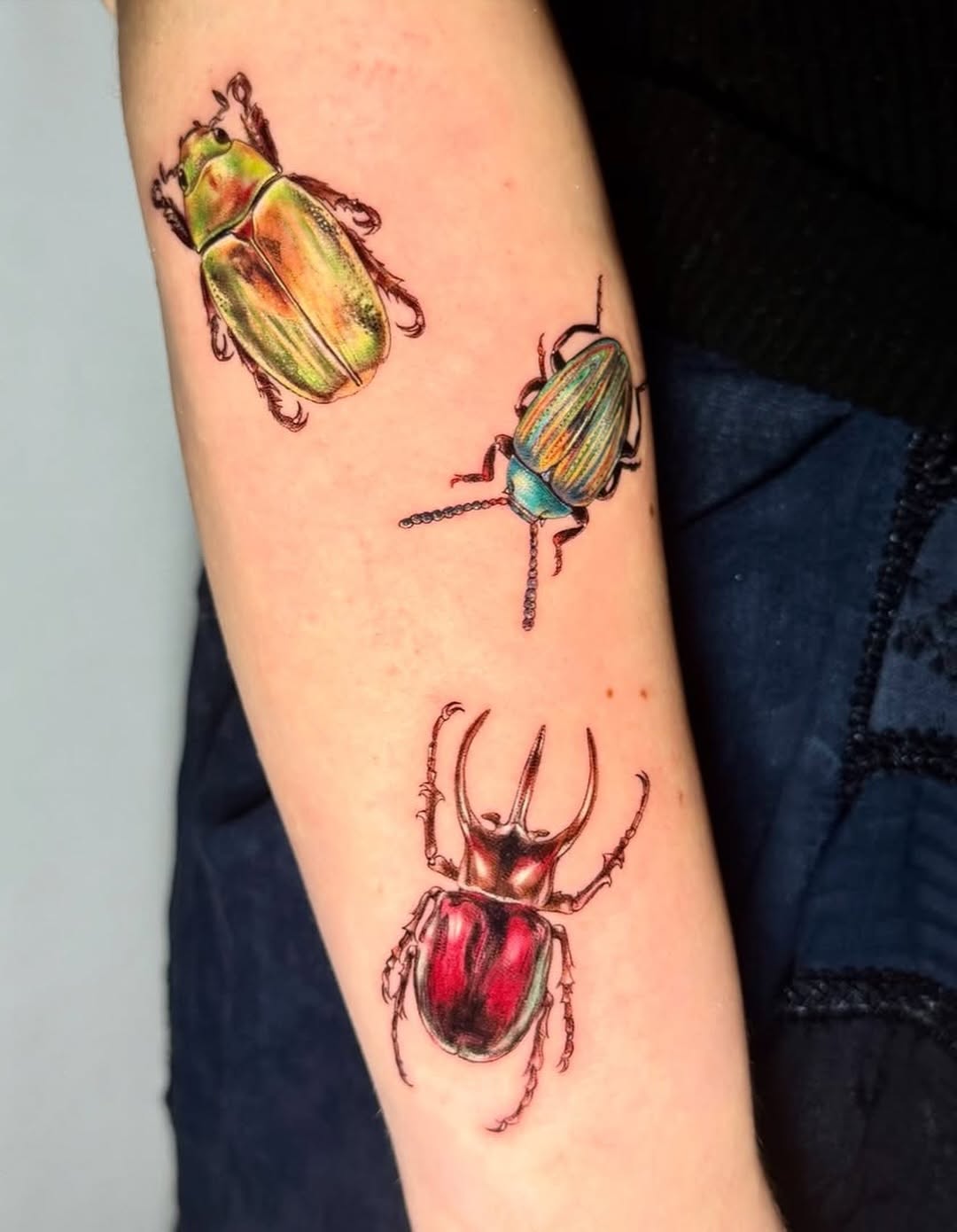Flower, Rose, 과일, 석류, 딸기