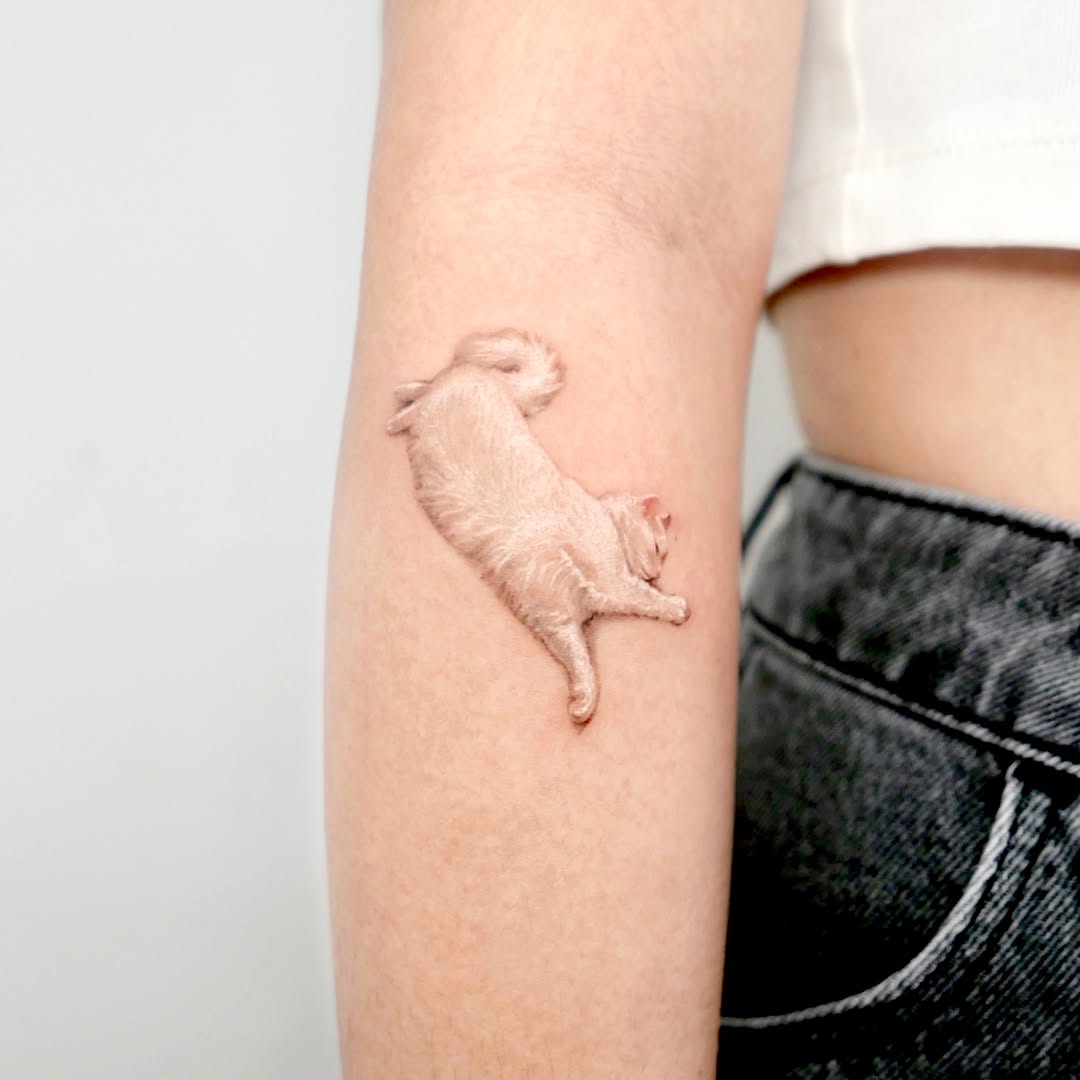 Animal, 쥐, 돼지