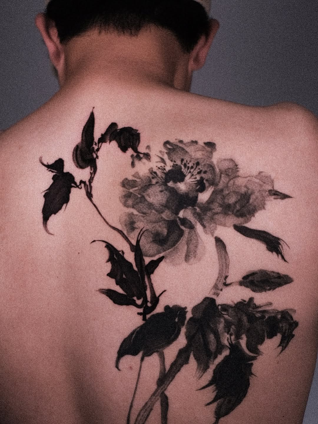 Flower, Nature, Rose