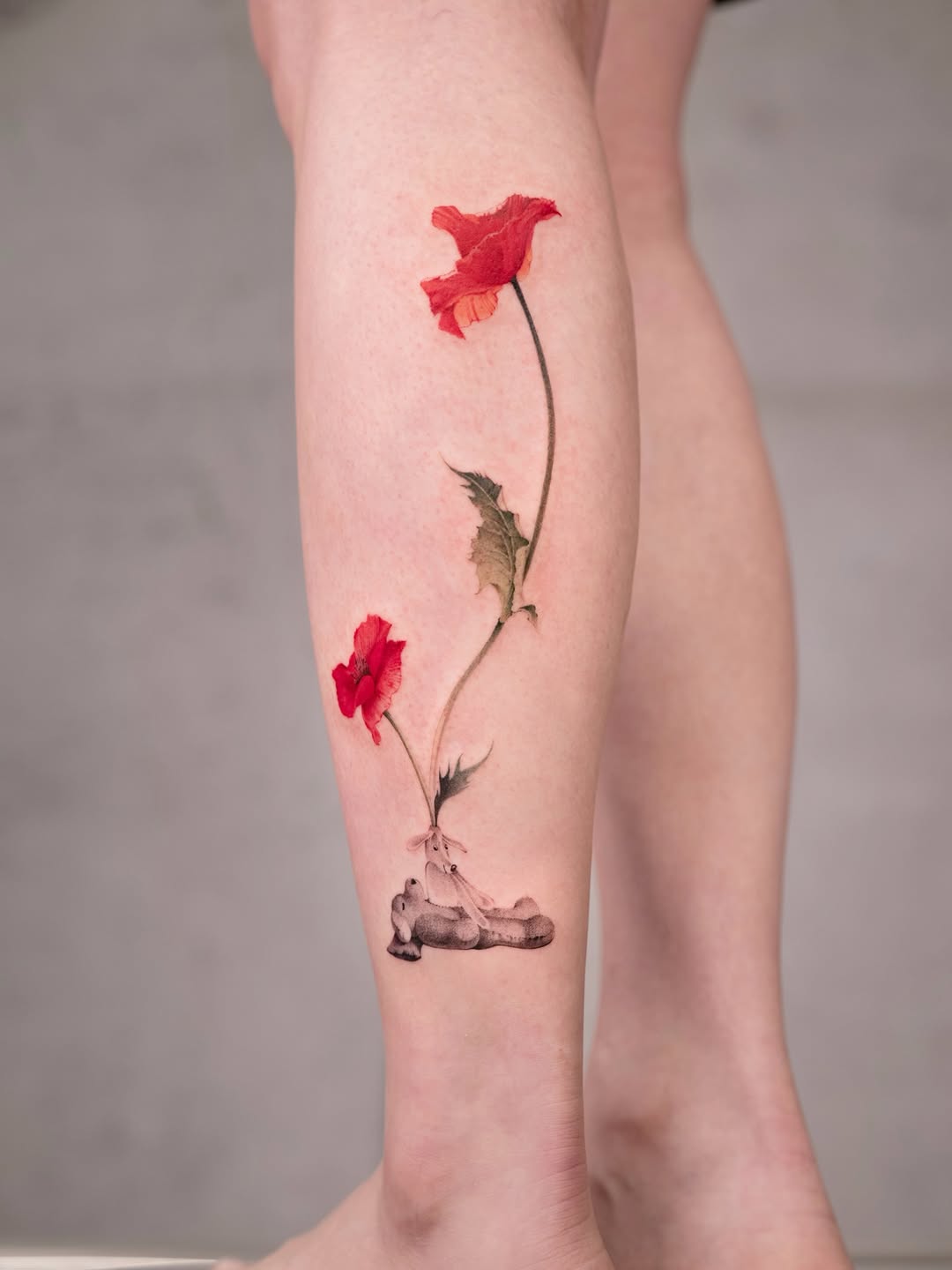 Flower, Rose, 양귀비