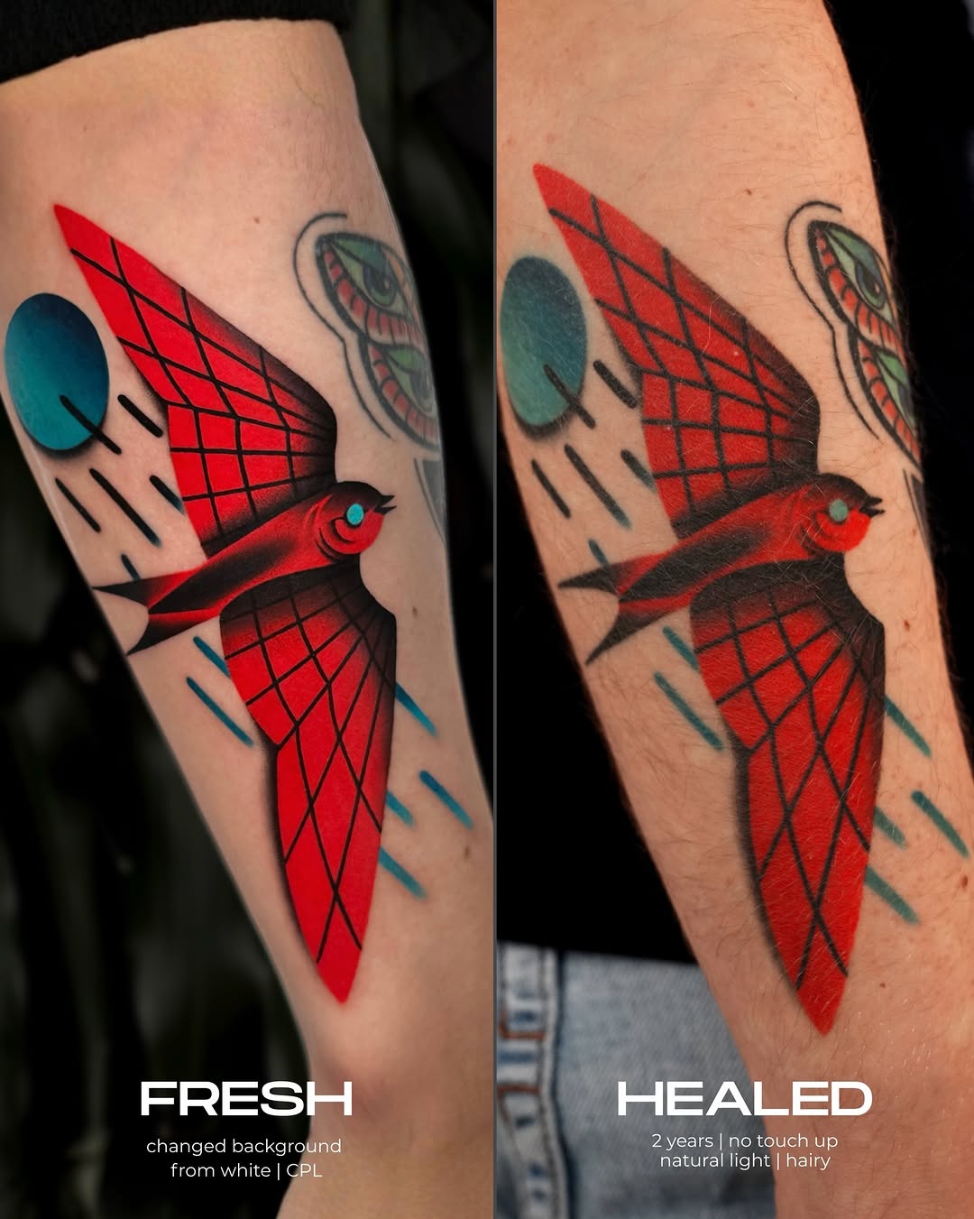 DARIA STAHP | COLOR TATTOO ARTIST