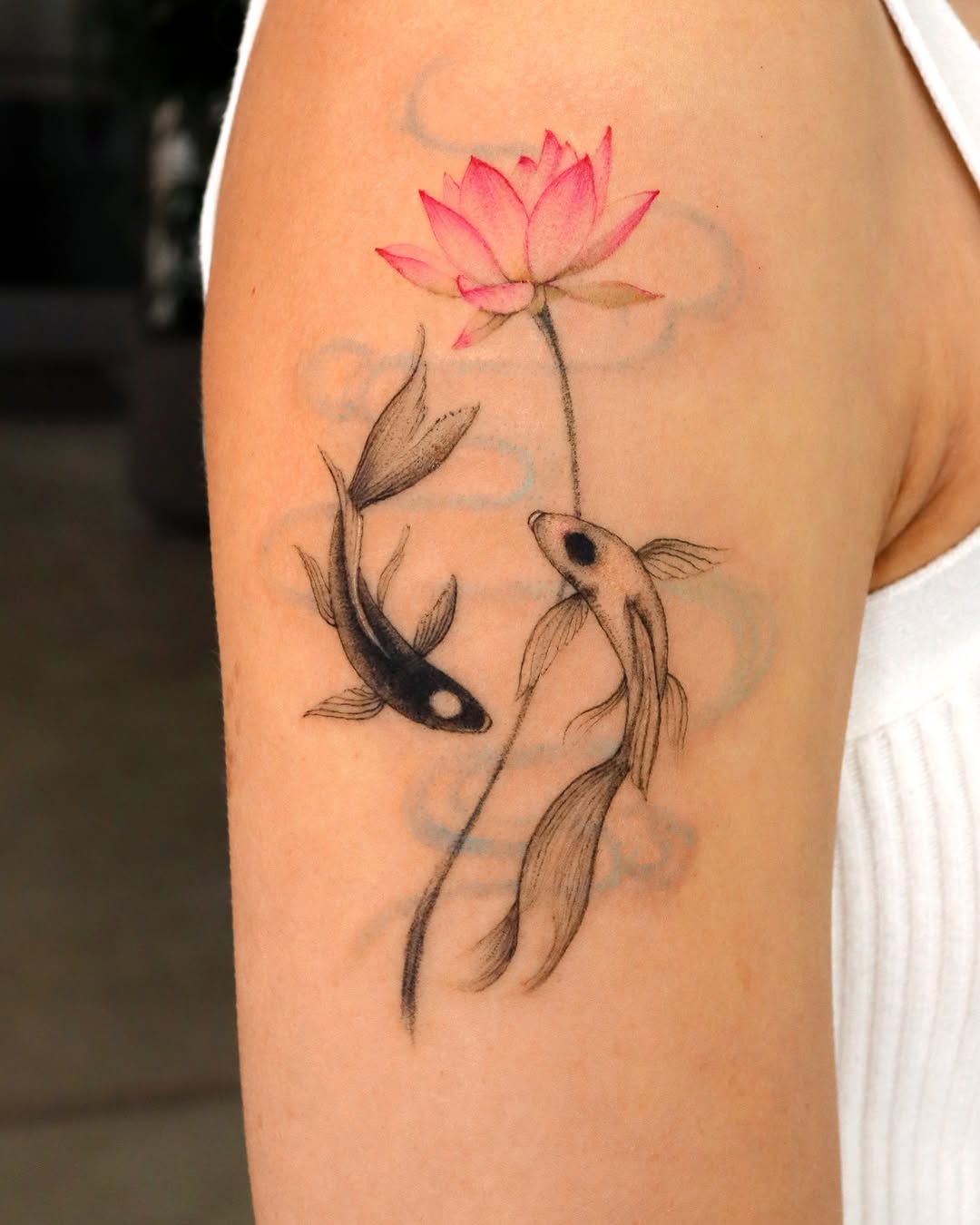 Animal, 토끼