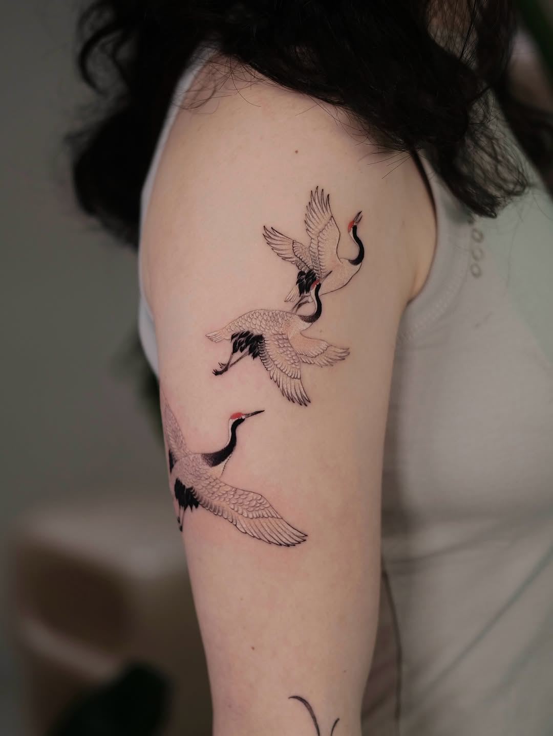 newtattoo_huanglu