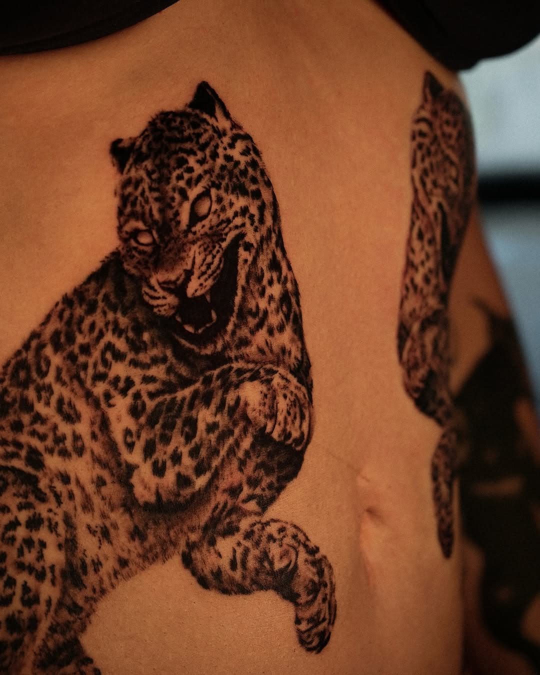 Tiger, Animal, 표범, 재규어, 치타