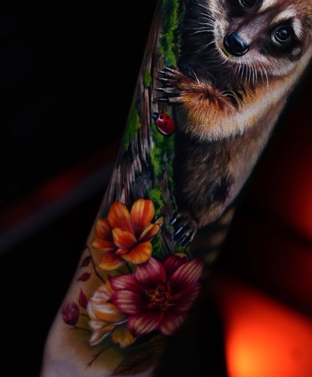Animal, 너구리
