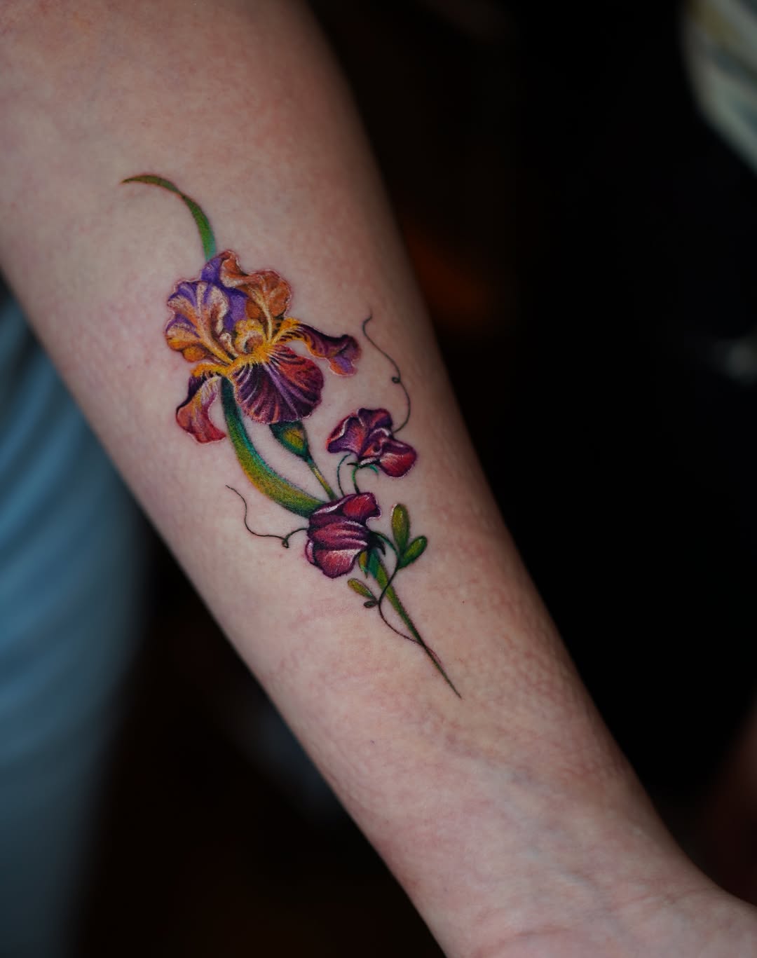 Flower, 아이리스, 난초
