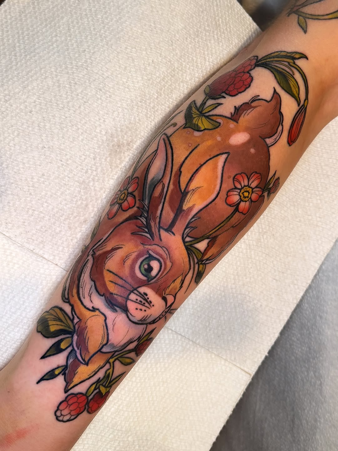 sarastigmata