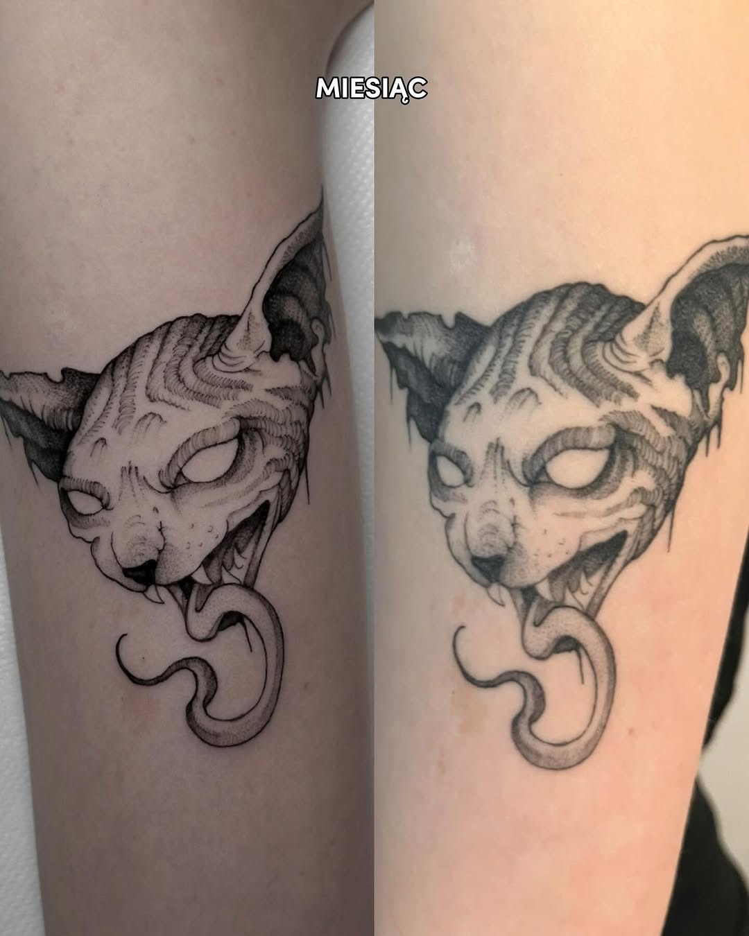 sve.tattoo