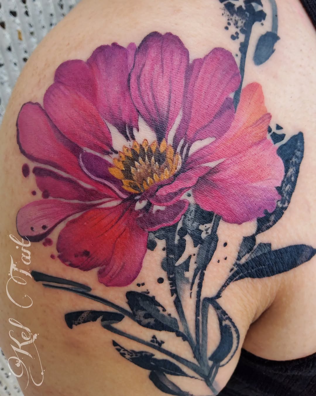 Flower, Rose, Nature