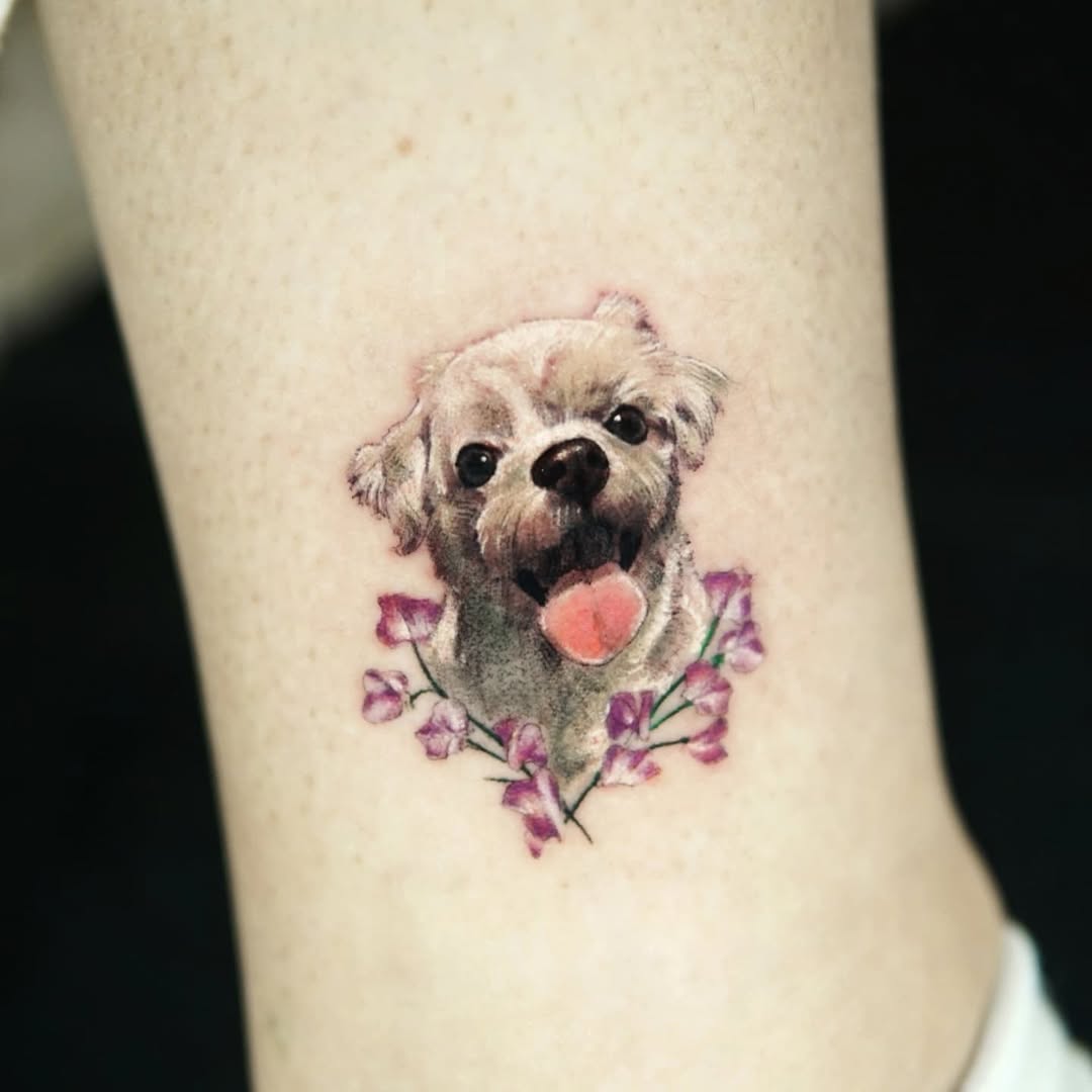 반려동물, 고양이