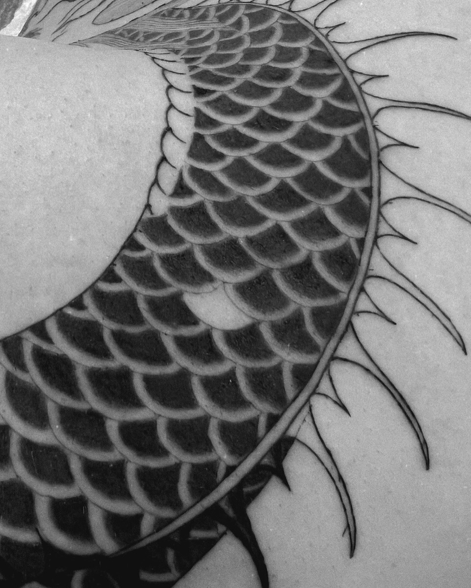 Dragon