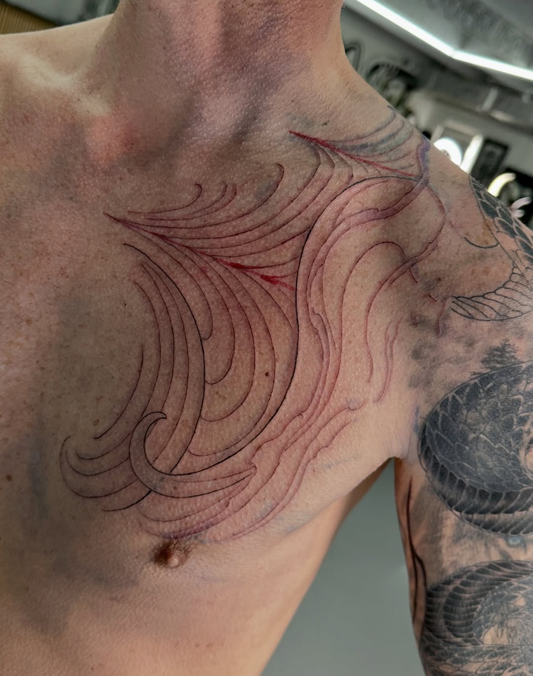 tattooist_shiryu