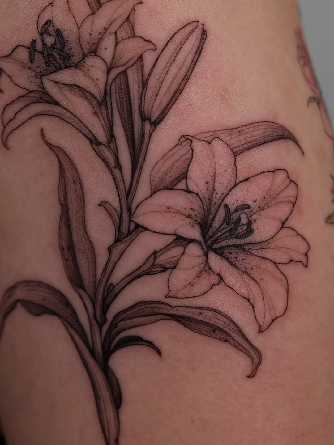 Flower, 백합