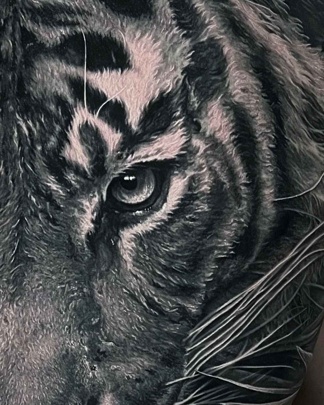 Tiger, 중국 호랑이