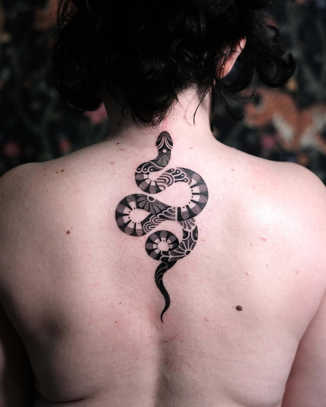 Dragon, Snake