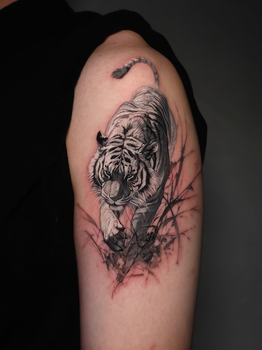 Tiger, 중국 호랑이