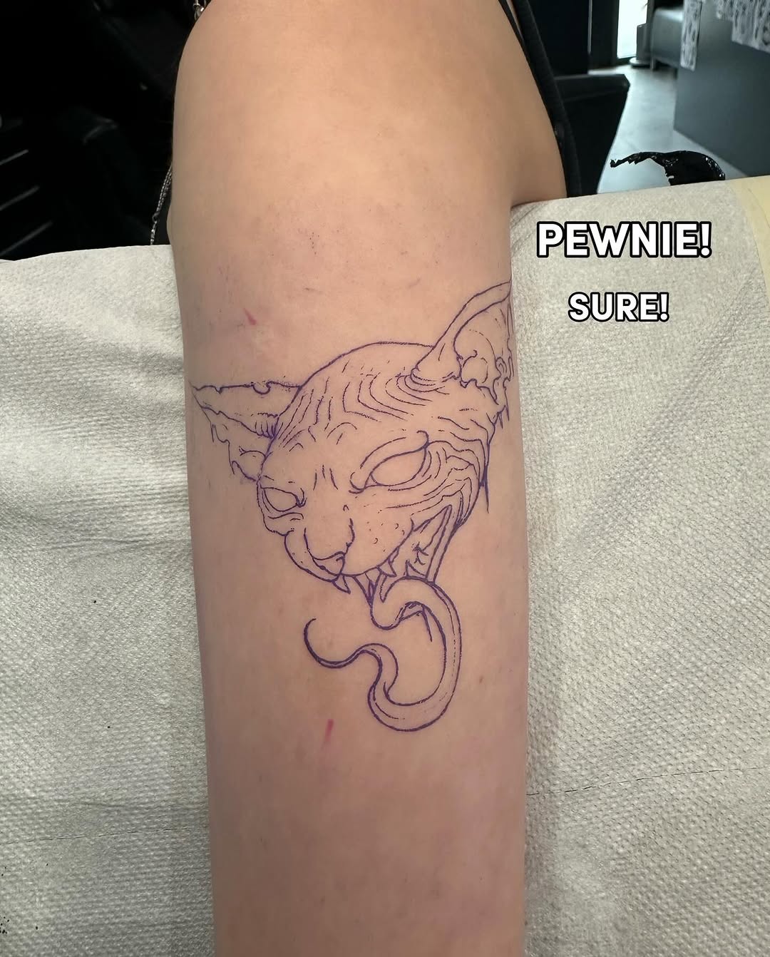 sve.tattoo