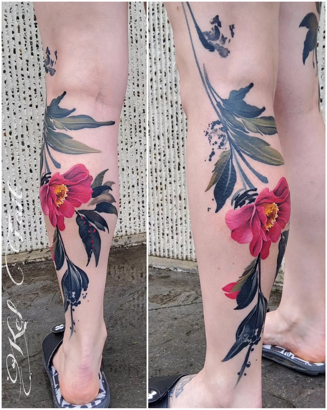 Flower, Rose