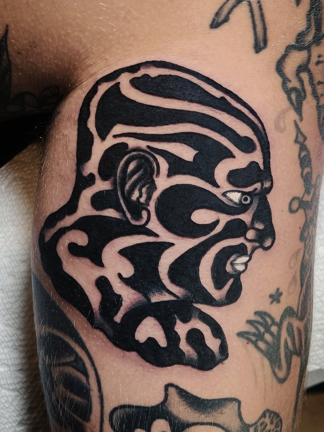darius_cappelli