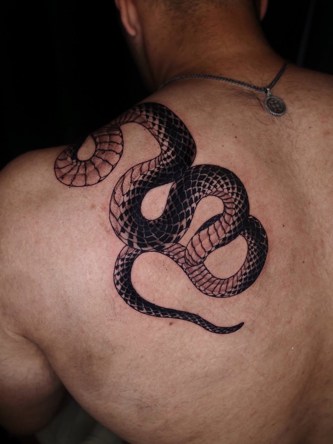 전갈, Snake, 도마뱀