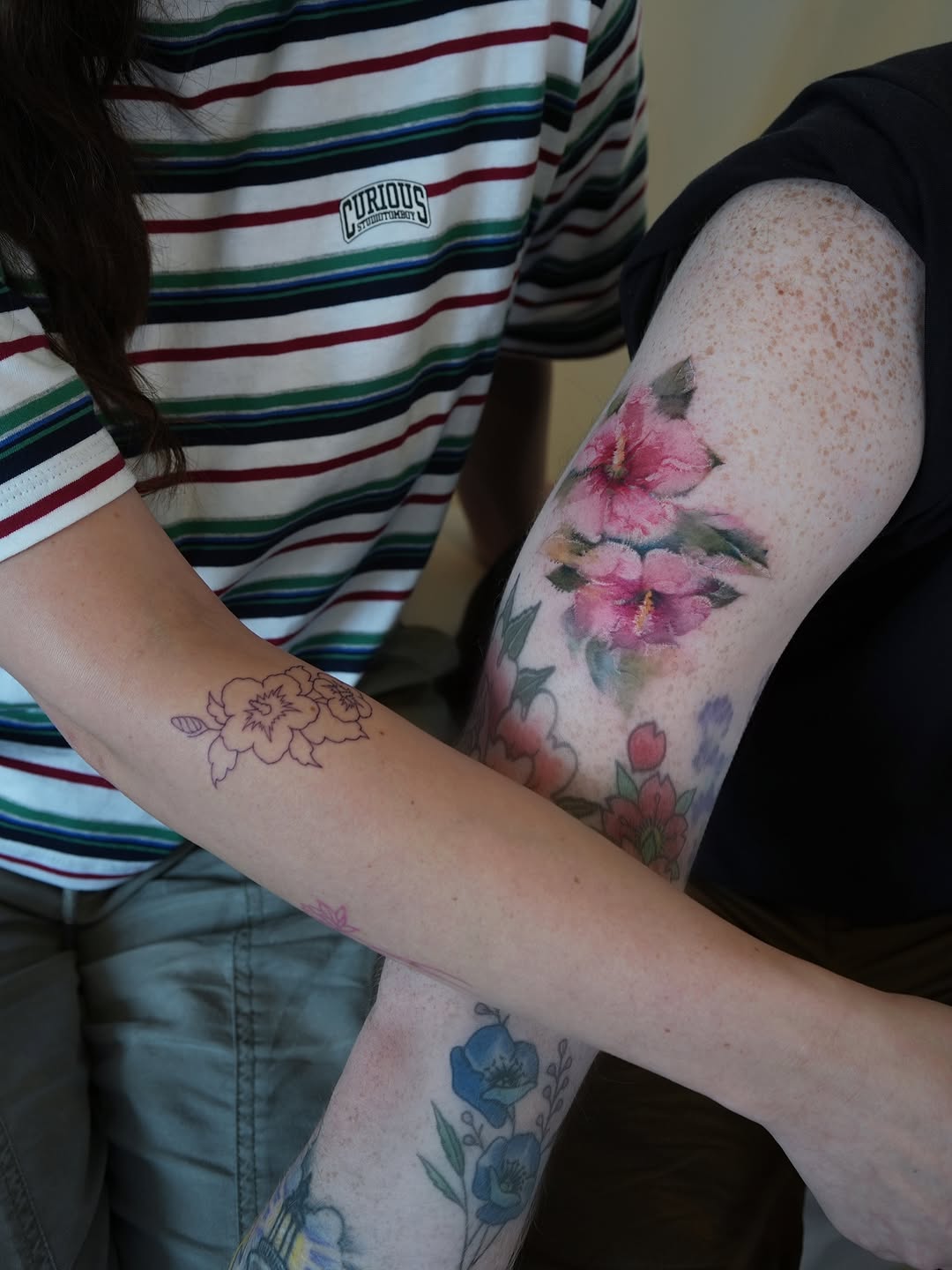 Flower, Rose, 매화, 벚꽃