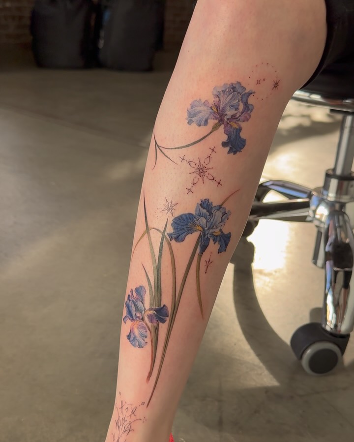 Flower, 아이리스, 난초, 백합, 튤립
