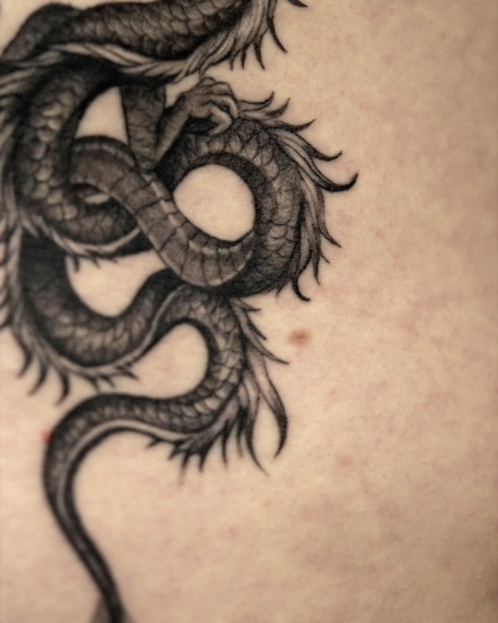 Dragon