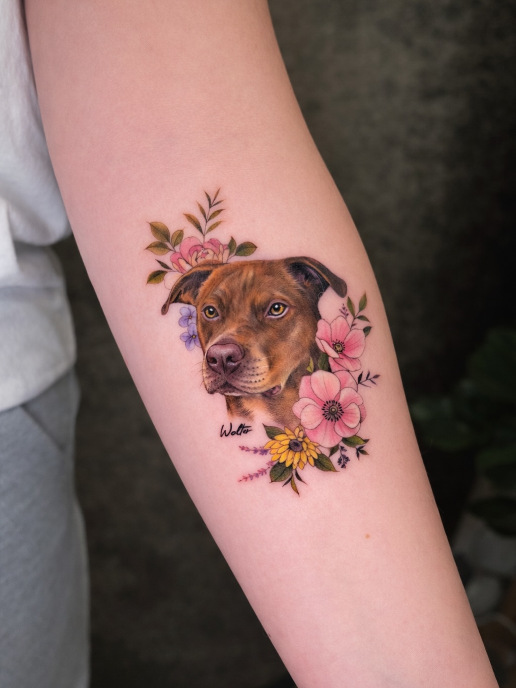 hnnhtattoo