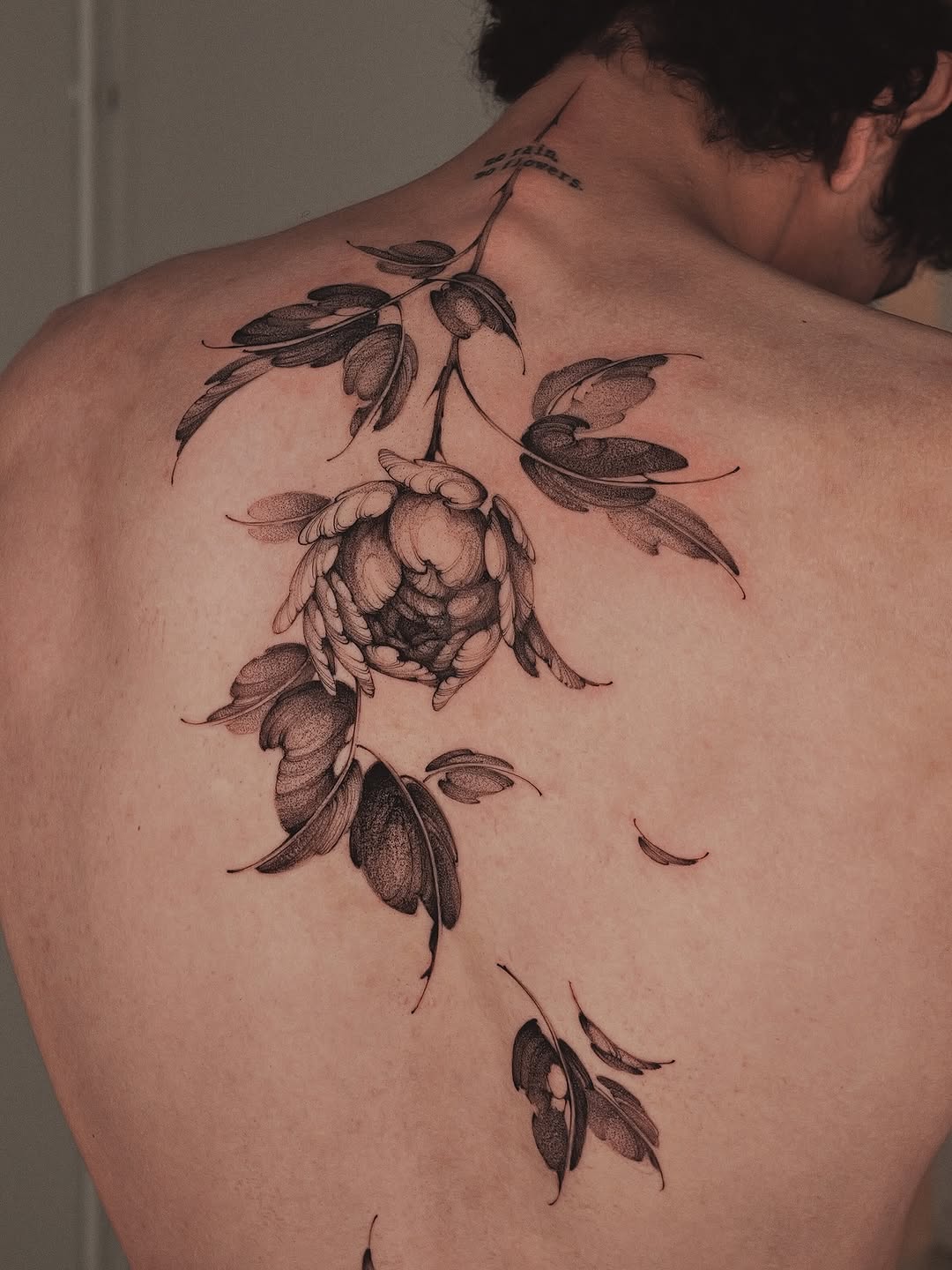 Nature, Rose, Flower