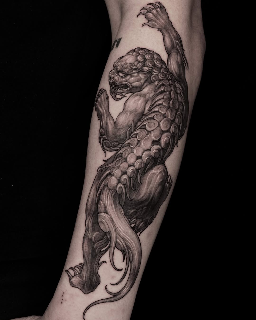 Dragon