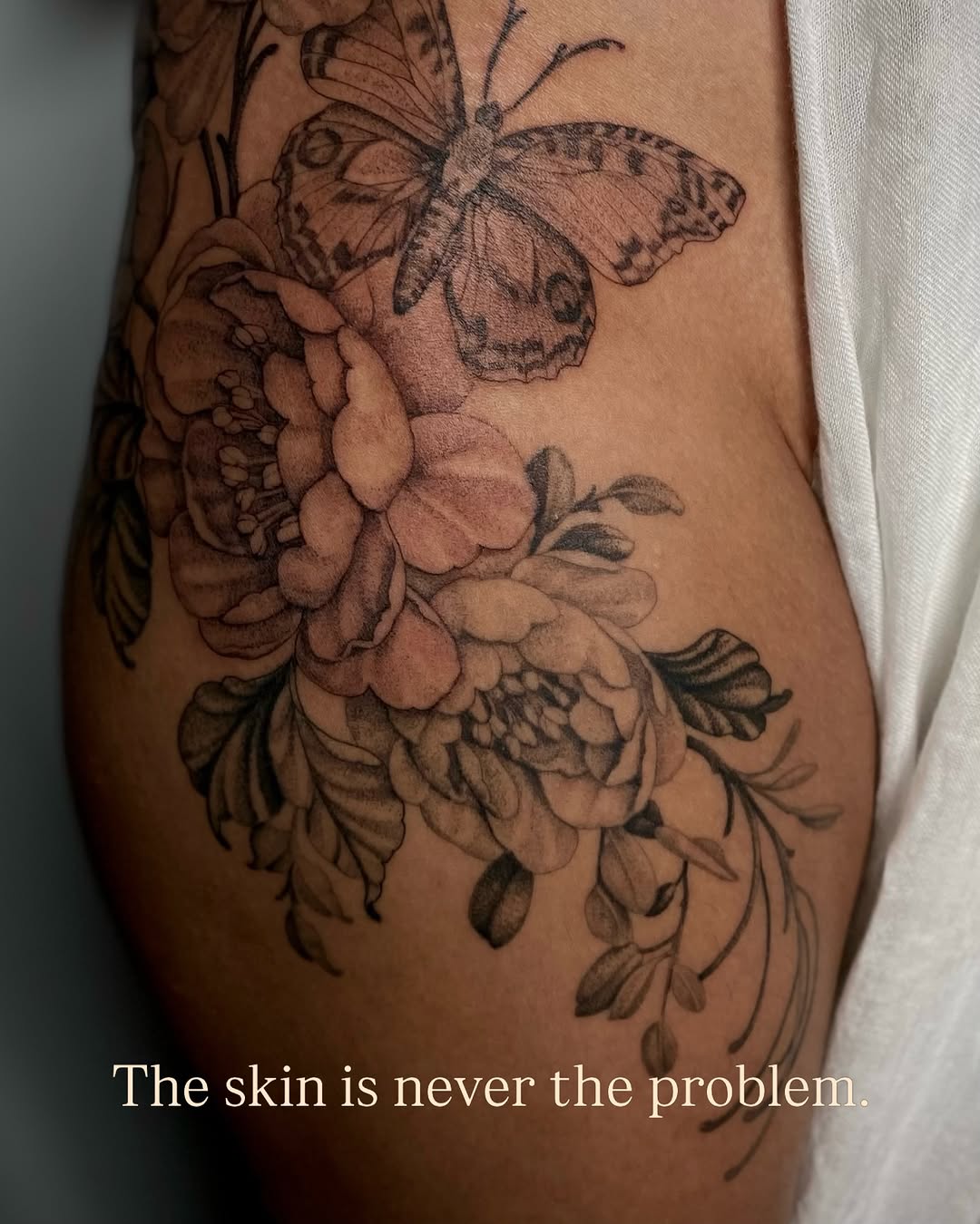 Flower, Nature, Rose, Animal