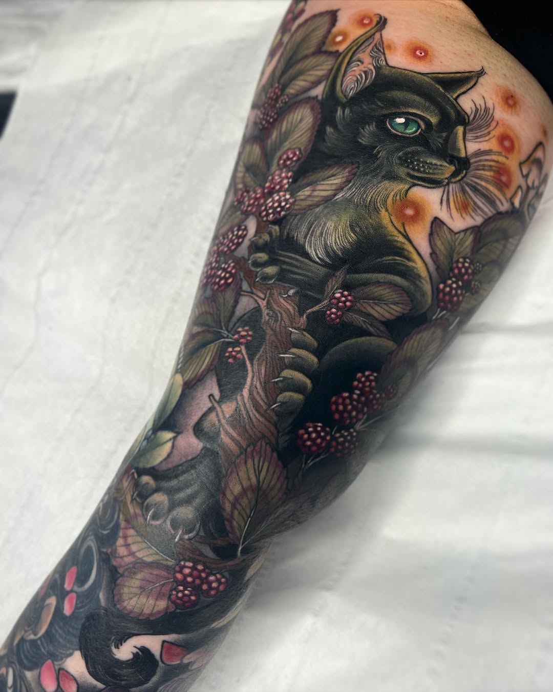 Animal, Tiger