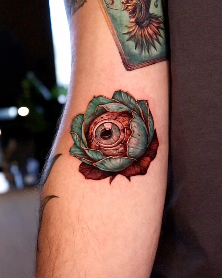 Flower, Rose