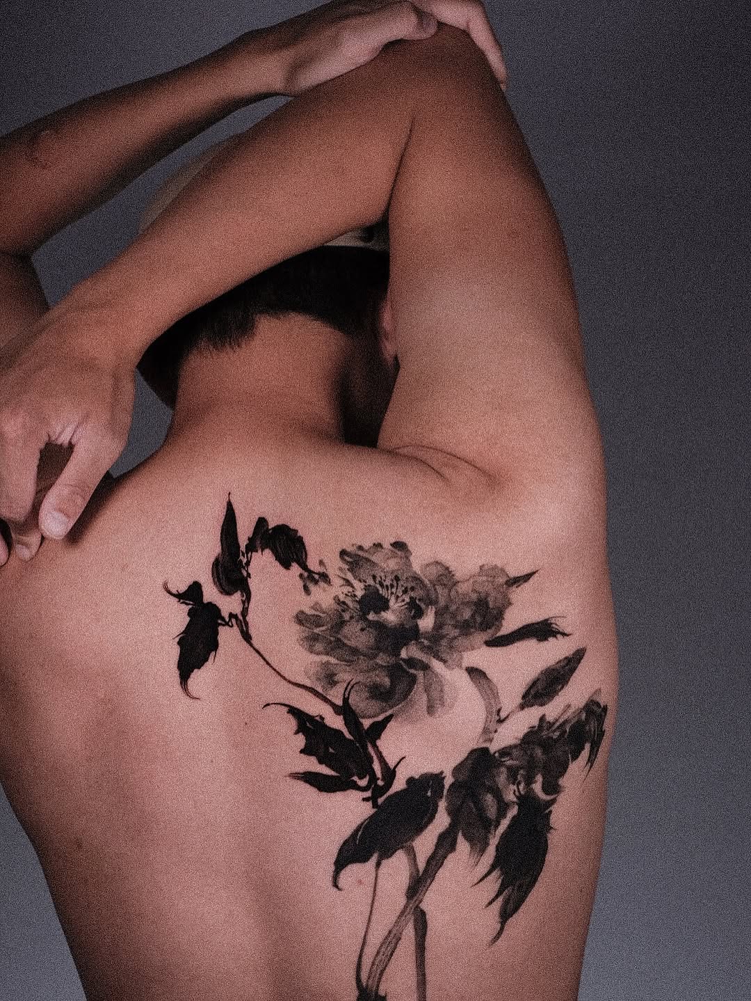 Flower, Nature, Rose