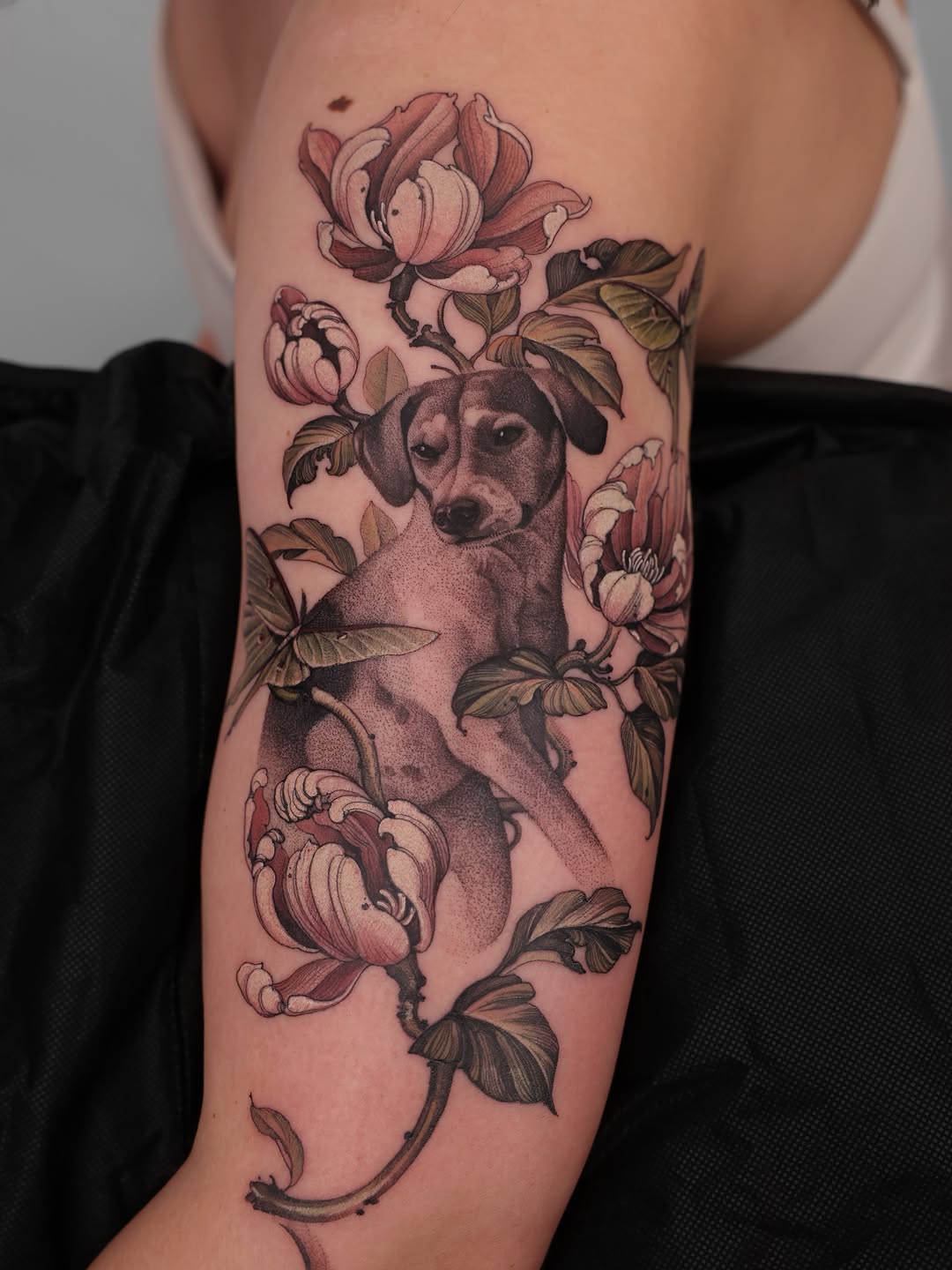 Flower, Rose