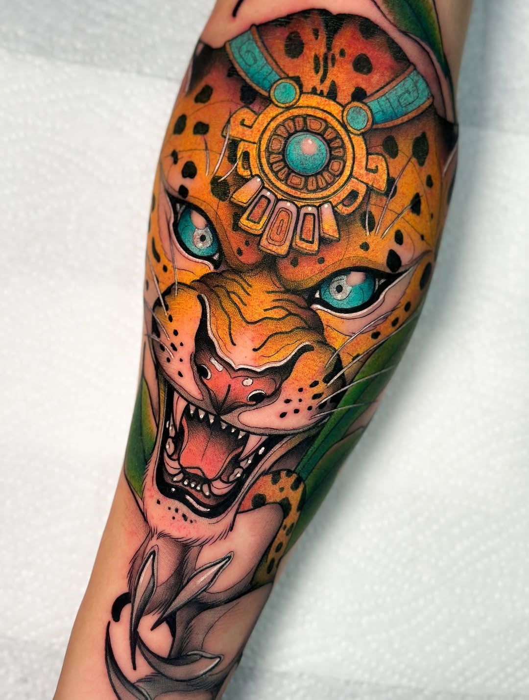 Tiger, Animal