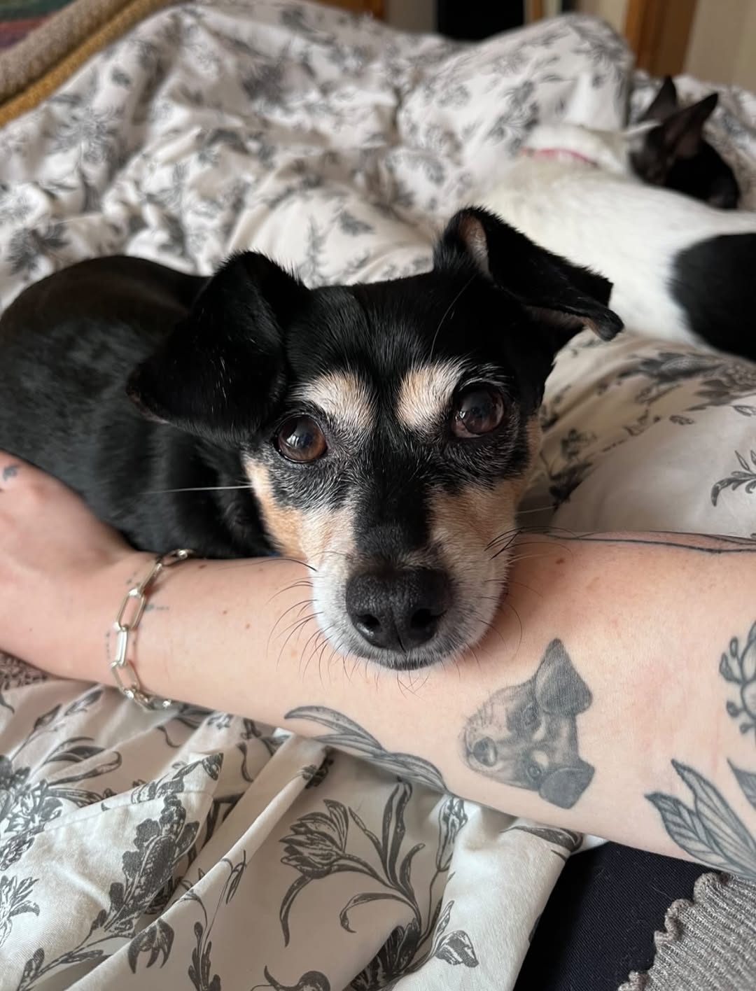 hnnhtattoo